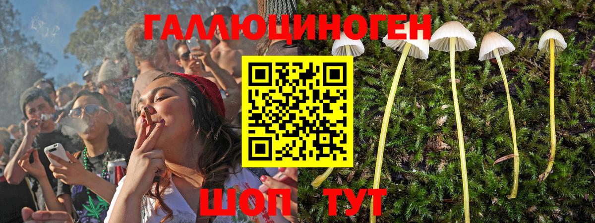 Галлюциногенные грибы Magic Shrooms  Вход с VPN  Бахчисарай 