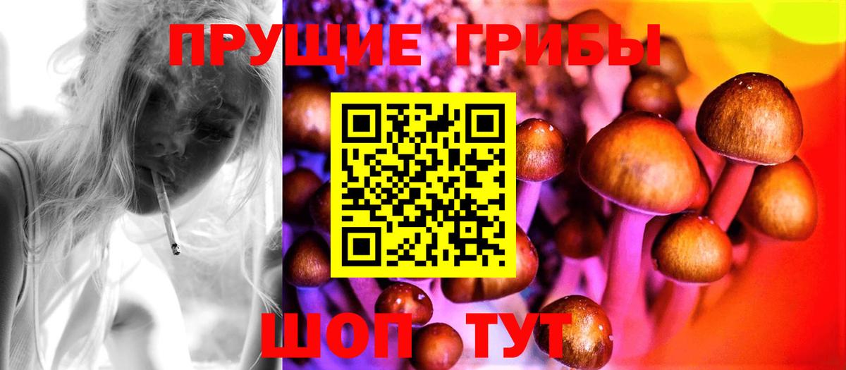 Псилоцибиновые грибы GOLDEN TEACHER Бахчисарай